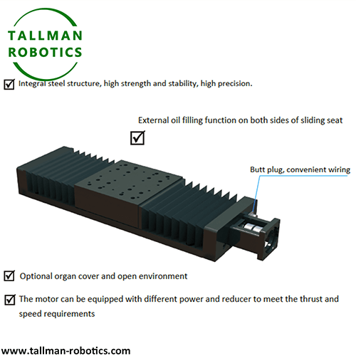 Heavy Duty Linear Translation Module