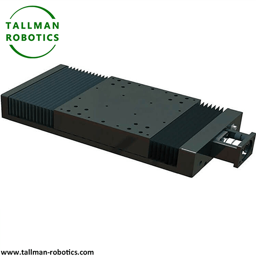 Heavy Duty Linear Rail Module