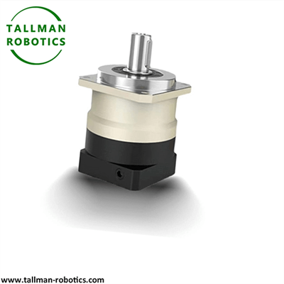 Te Puku Taonga Aorangi